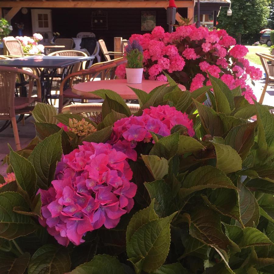 Chalet Plantlust Вере Экстерьер фото
